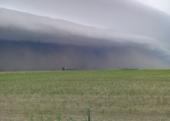 Alerta Meteorológico para toda la región: se esperan lluvias y tormentas