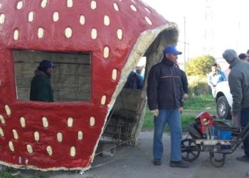 Instalaron una particular garita de colectivos en la Capital de la Frutilla