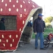 Instalaron una particular garita de colectivos en la Capital de la Frutilla