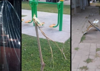 Vidrios, árboles y carteles: nada se salva de los vándalos en Díaz