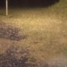 El granizo fue el protagonista del temporal en la región