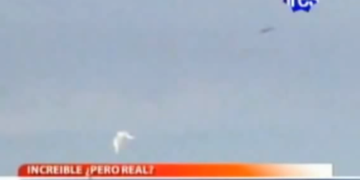 La vaca y el ovni: a 10 años del suceso que conmocionó a Gaboto