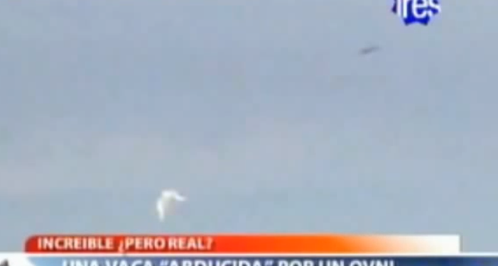 La vaca y el ovni: a 10 años del suceso que conmocionó a Gaboto