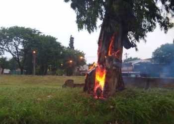 Un árbol fue alcanzado por un rayo y ardió en llamas