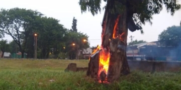 Un árbol fue alcanzado por un rayo y ardió en llamas