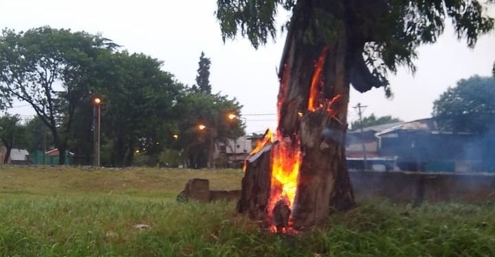 Un árbol fue alcanzado por un rayo y ardió en llamas