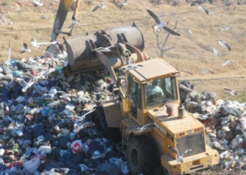 Hallaron el cuerpo de un hombre mutilado en medio de la basura