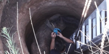 Bomberos de la región rescataron a un caballo que cayó a un pozo