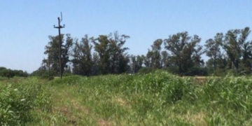 Robaron dos kilómetros de cables en Monje y dejaron sin luz al pueblo