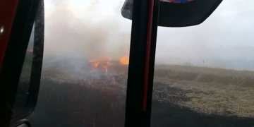 Totoras: se incendió una cosechadora mientras trillaba en un campo
