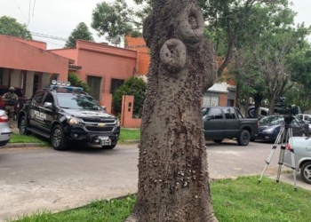 Drogas: detuvieron a un alto mando de la Jefatura de San Lorenzo