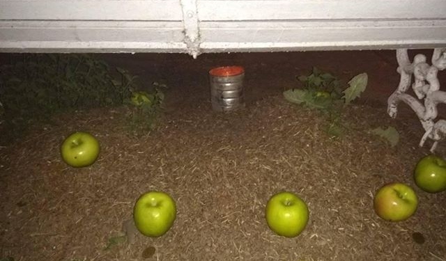 ¿Macumba en Totoras?: extraño hallazgo en uno de los bulevares