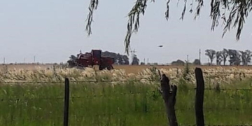 Vecinos de Maciel indignados por fumigaciones a metros de sus casas