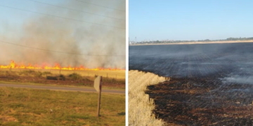 Imponente incendio en un campo a la vera de Ruta 11