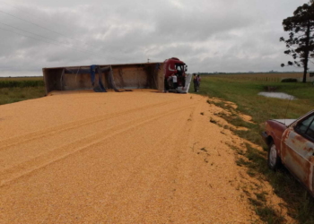 Tránsito cortado: volcó un camión cargado sobre Ruta 91
