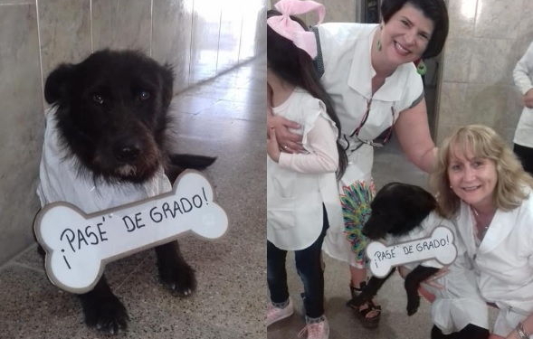 Con guardapolvo y cartel, homenajearon a un perro que «pasó de grado»