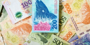 Sacarán los animales de los billetes y analizan lanzar de 2 mil o 5 mil pesos