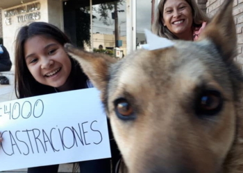 Totoras llegó a las 4 mil castraciones desde 2015