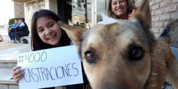 Totoras llegó a las 4 mil castraciones desde 2015