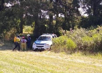 Investigan si la mujer hallada muerta en autopista fue víctima de un crimen
