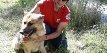 Bomberos rescataron a un perro que pasó dos días en un pozo ciego
