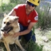 Bomberos rescataron a un perro que pasó dos días en un pozo ciego