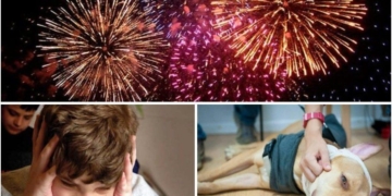 Son mayoría: las localidades de la región que «le dicen no» a la pirotecnia