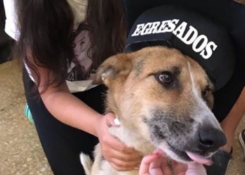 Un graduado de cuatro patas: alumnos de 5to Totoras tuvieron su acto junto a «Yoda»