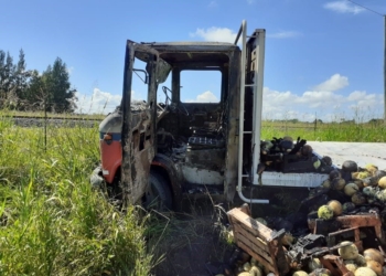 Un camión ardió en llamas en Ruta 11 y el chofer debió saltar ante la falla de los frenos