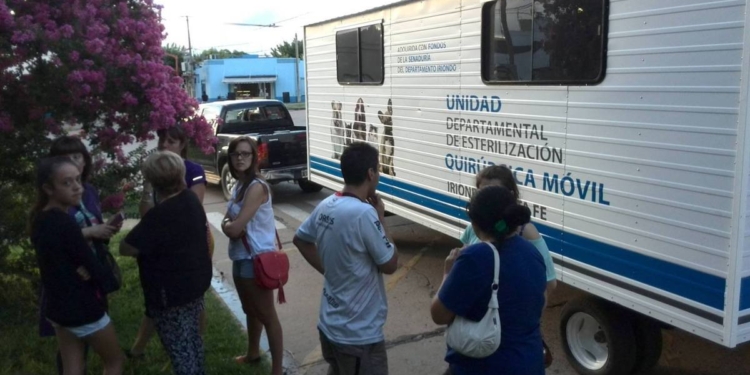 Localidades de la región confirmaron nuevas fechas de castraciones