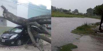 Árboles caídos, calles anegadas y cortes de luz, las consecuencias del temporal