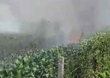 Dos hectáreas de campo ardieron este martes en Barrancas
