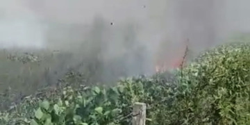 Dos hectáreas de campo ardieron este martes en Barrancas