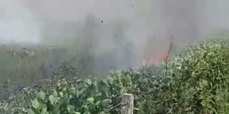 Dos hectáreas de campo ardieron este martes en Barrancas