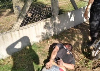 Insólito: fue detenido mientras intentaba robar el tejido de un camping