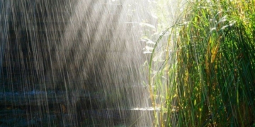 Después de la tormenta volvió el sol: datos de lluvia