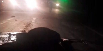 Un camión embistió y mató a un caballo suelto en Ruta 34