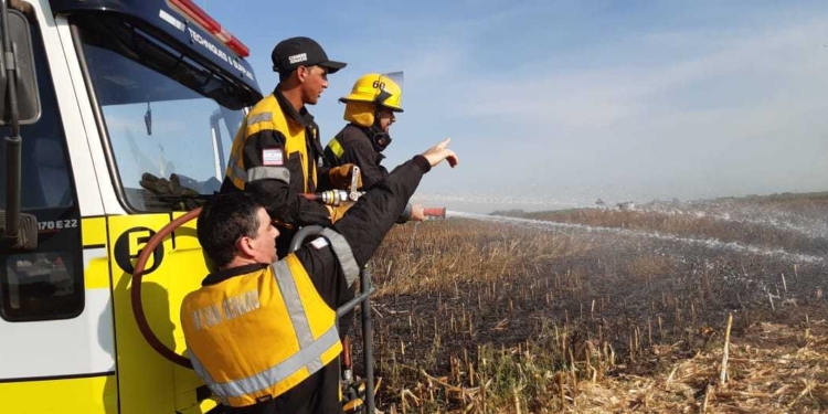 Díaz: otro incendio de magnitud en campos con maíz y soja