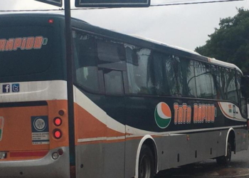 No circularán colectivos interurbanos hasta el 31 de marzo