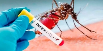 Confirmaron otro caso de dengue en una localidad de la región