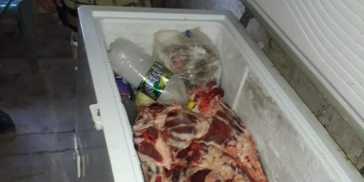 San Genaro: tres mayores y un menor detenidos por robo de ganado