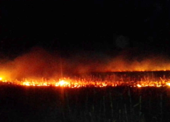 Volvió a arder un campo en Díaz y se quemaron 9 hectáreas