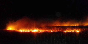 Volvió a arder un campo en Díaz y se quemaron 9 hectáreas