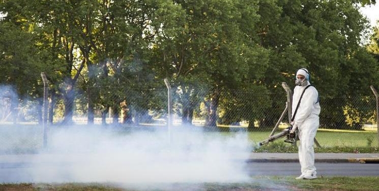 Confirmaron un caso de dengue en Gaboto: habrá fumigación y descacharrado