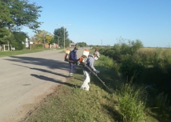Gaboto: nueva fumigación por dengue y medidas para comerciantes por coronavirus