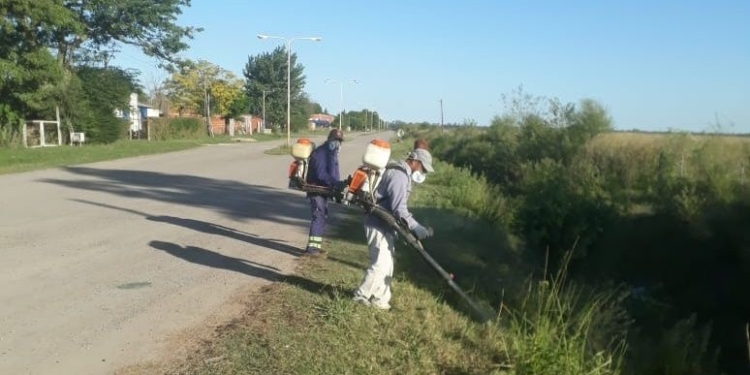 Gaboto: nueva fumigación por dengue y medidas para comerciantes por coronavirus