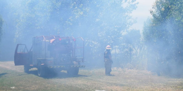 Oliveros: prendieron fuego en un baldío y se extendió a patios de viviendas