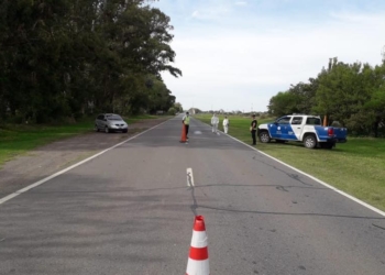 Comenzó a regir el Certificado Único para Circulación: cómo tramitarlo