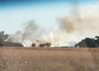 Una cosechadora ardió mientras trabajaba en un campo de Totoras
