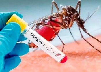 Alerta dengue: confirmaron el primer caso positivo en Maciel